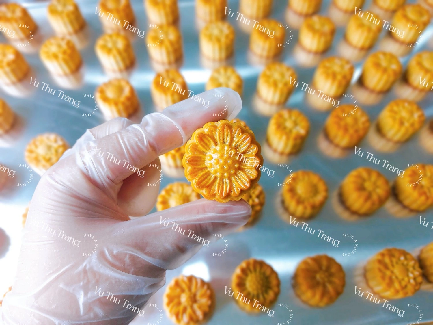 Ảnh thành phẩm bạn Vũ Thu Trang ưng ý